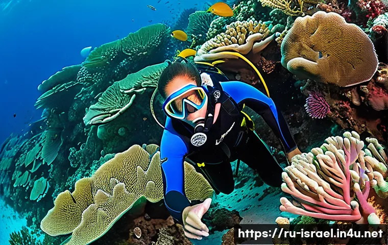 이스라엘에서 즐길 수 있는 아웃도어 액티비티 관련 이미지 1