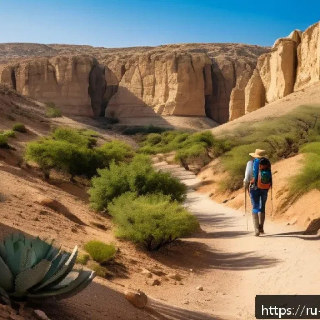 이스라엘 사막 투어 추천 - A serene desert canyon scene in Israel during springtime, featuring a narrow trail winding through t...