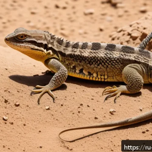 이스라엘 사막에서의 야생동물 - A detailed desert scene in Israel during daytime featuring a variety of reptiles such as lizards and...