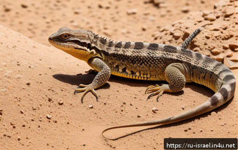 이스라엘 사막에서의 야생동물 - A detailed desert scene in Israel during daytime featuring a variety of reptiles such as lizards and...